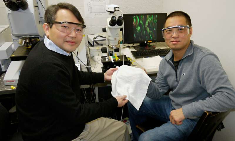 Scientists develop first fabric to automatically cool or insulate depending on conditions