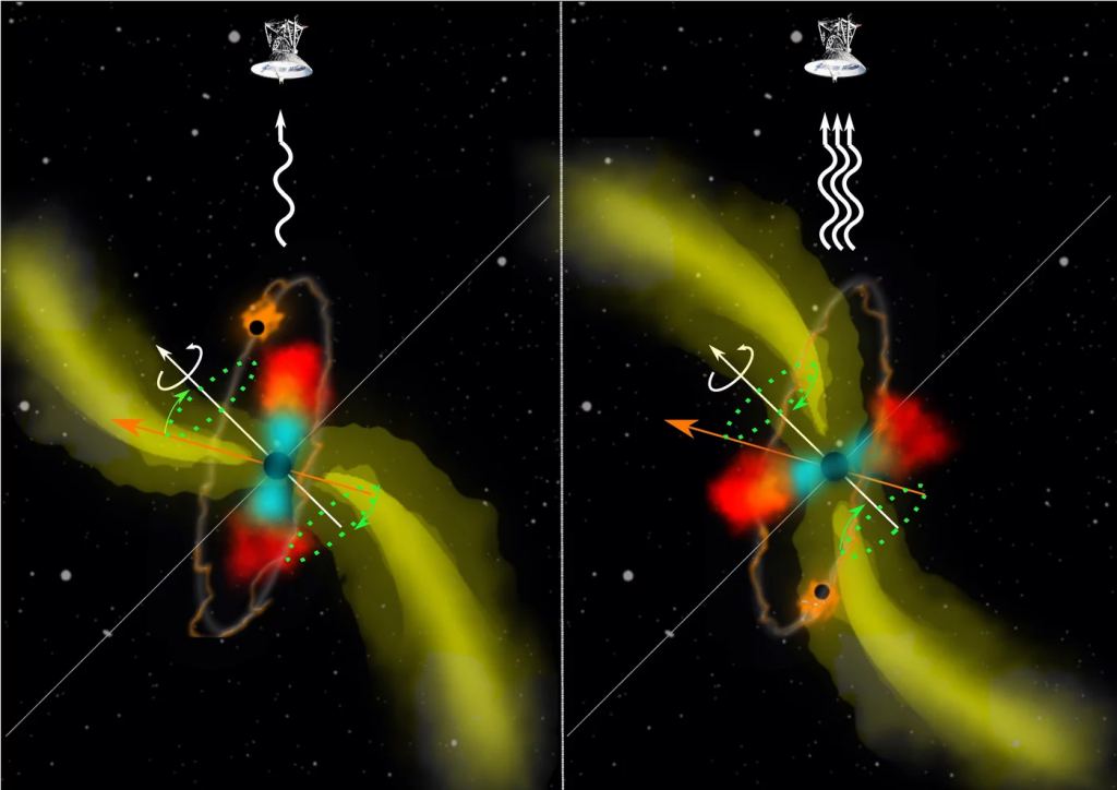  A magnetized radio jet (yellow), precessing due to a pair of supermassive black holes. The larger one is shown in black at the center of the accretion disk. It contains warmer (blue) and cooler (red) gas. The white arrow indicates the spin of the larger black hole. The second black hole orbits (orange) around the central supermassive black hole and the orange arrow shows the orientation of its orbital angular momentum. Due to misalignment, torque from the secondary drives the precession of the accretion disk as well as the launched jet (green circle and arrows).  Radio emission is indicated with white curved lines. These show how the jet swirls around and produces variations in radio emission. Courtesy: Michal Zaja?ek/UTFA MUNI