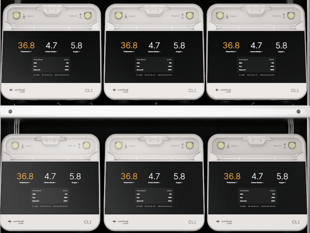 Just one section of the CL1 stack, with each unit housing living cells