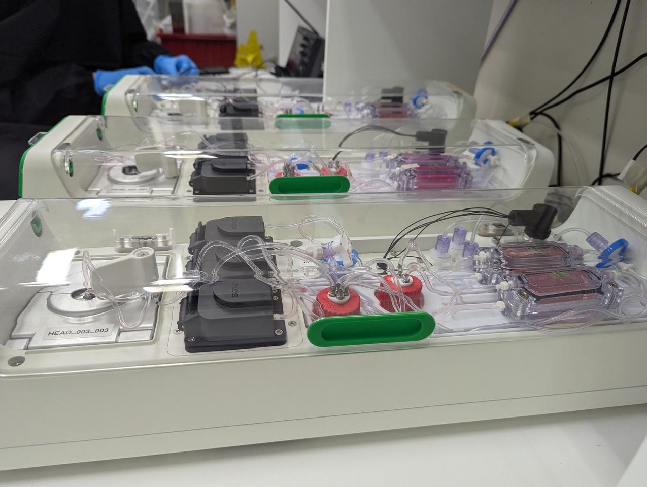 The complex life-support system inside each CL1 unit