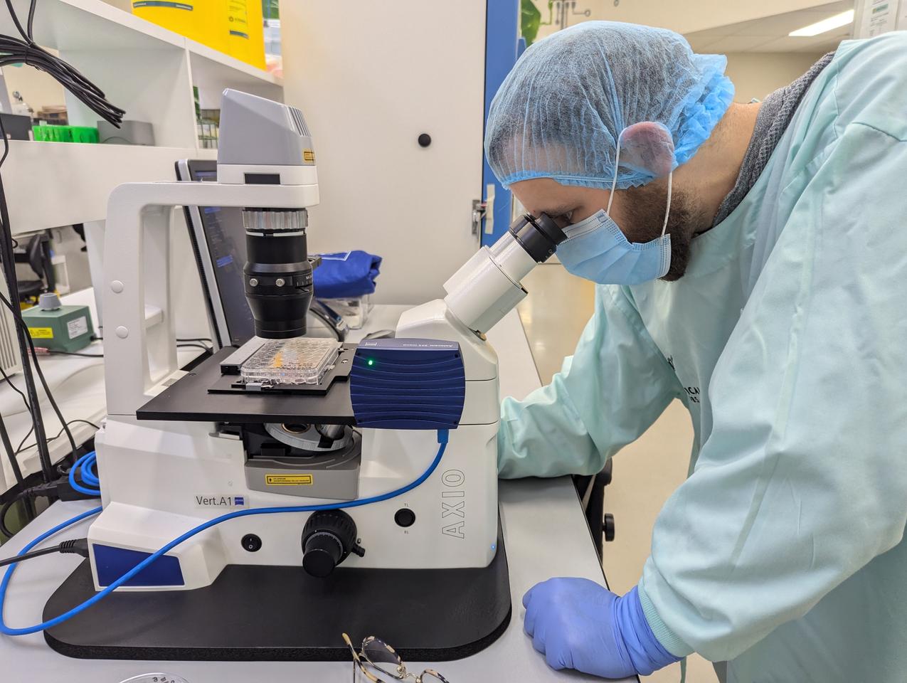 Chief Scientific Officer Brett Kagan assesses some stem cells cultivated in the lab